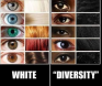 Whites vs Diversity