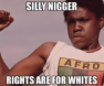 Silly Nigger