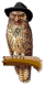 Talmud Owl