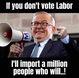Labour Imported Voters