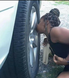 Nigger Inflating a Tyre