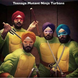 Teenage Mutant Ninja Curries