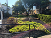 Cailen - Front Garden 2025 - RAHOWA HOUSE