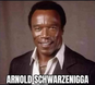 Schwarzenegger Nigger