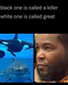 What Blacks think of Marine life